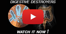 Click To See Common Digestive-Destroyers